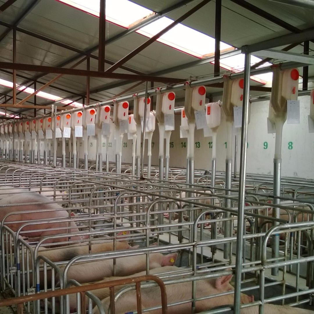 世昌畜牧专业设计h002自动化养猪料线