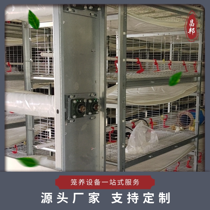 大层叠鸡笼 肉鸡白鸡笼 昌邦 自动化框架笼 厂家出售