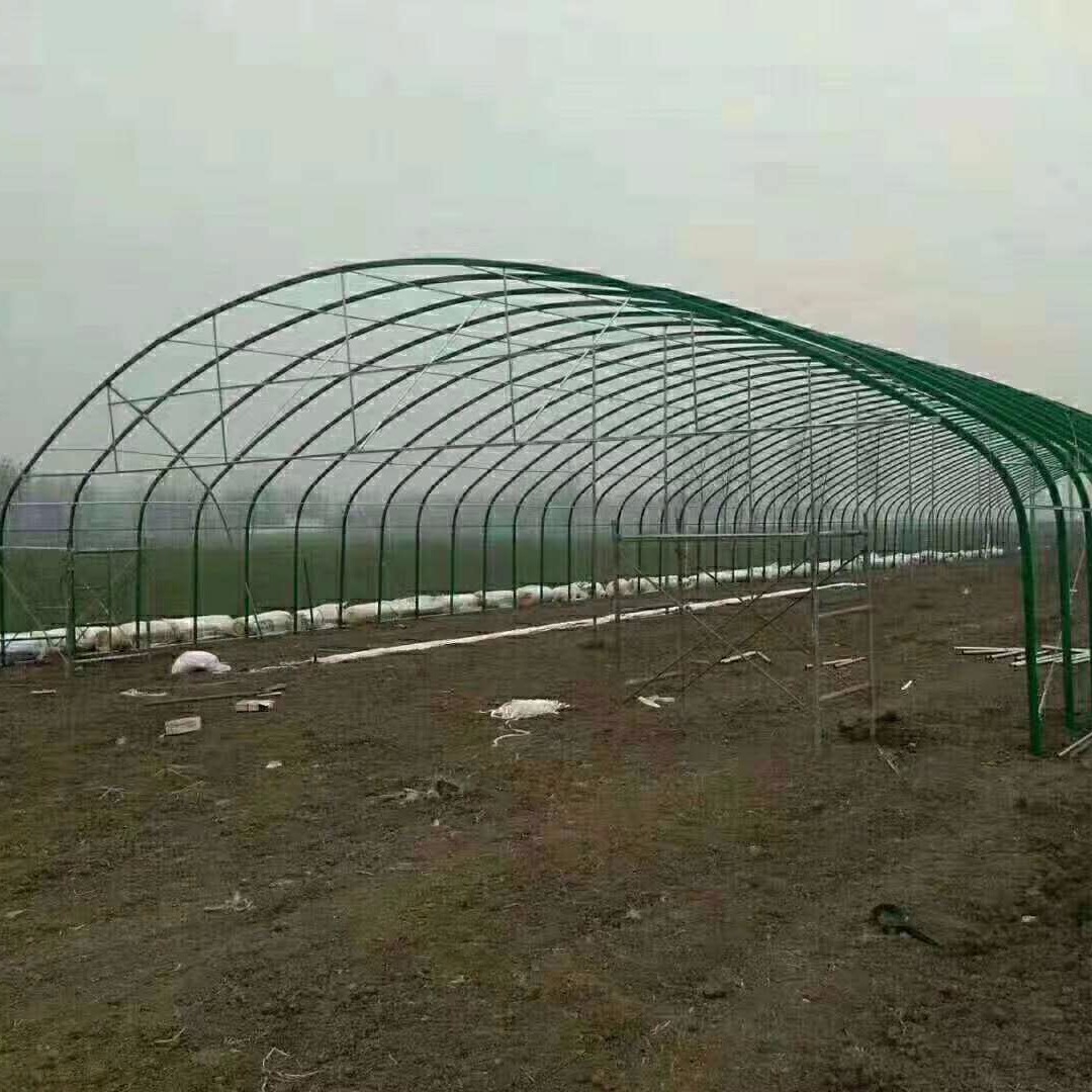 钢架草莓大棚建造厂家 蔬菜种植大棚骨架造价 薄膜温室