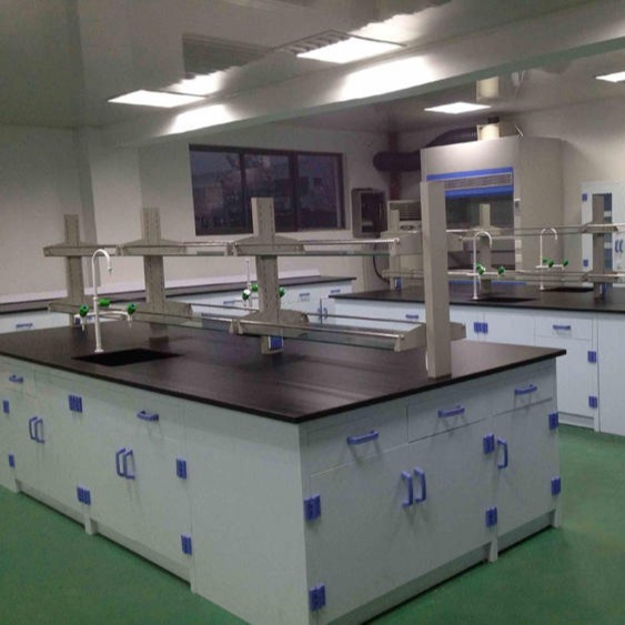 禄米实验室 厂家供应PP实验台 实验室家具 化学实验台钢木实验桌仪器桌LM-SYT10658