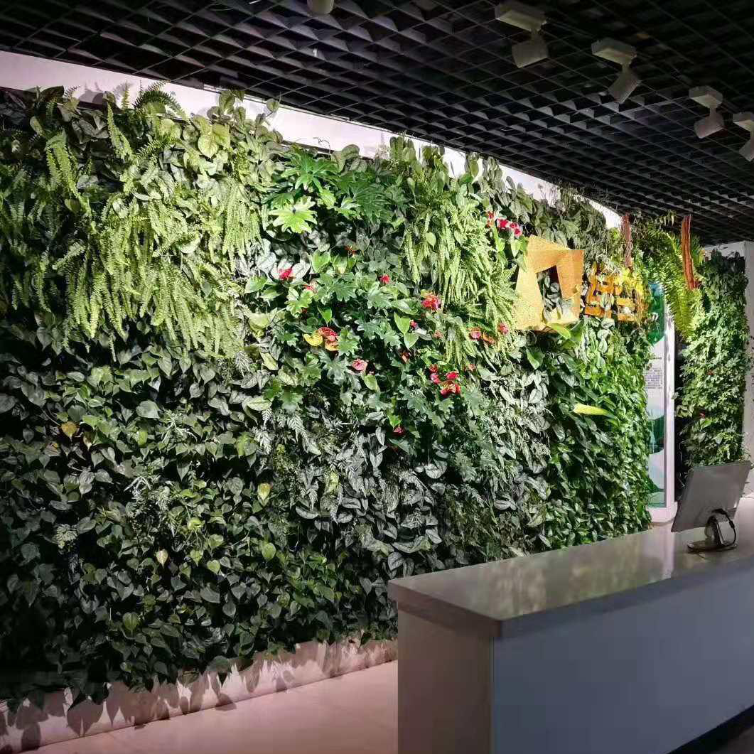室内植物墙 植物墙围挡 又绿景观