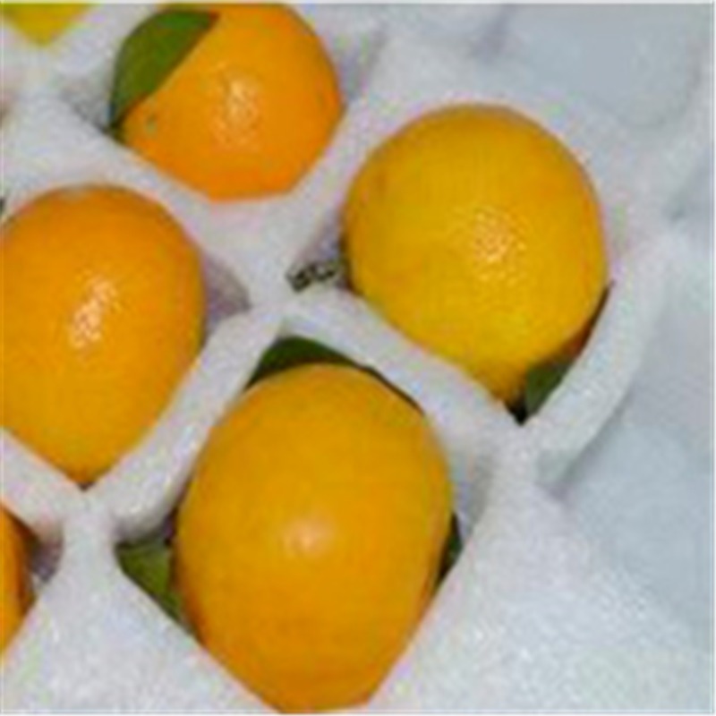 珍珠棉水果托品牌厂家生产 恒日缓冲材料厂家现货支持定制epe苹果甜橘托 安全透气泡沫棉杏子托价格报价批发