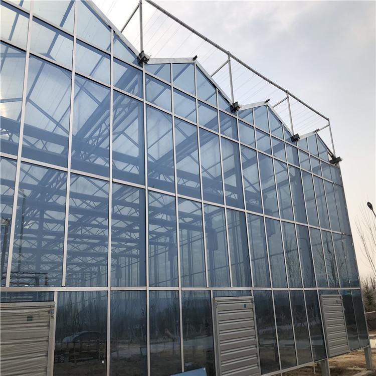 博伟 BW 承建连栋温室安装 现代化玻璃温室建设 连体玻璃温室 智能玻璃大棚 欢迎选购