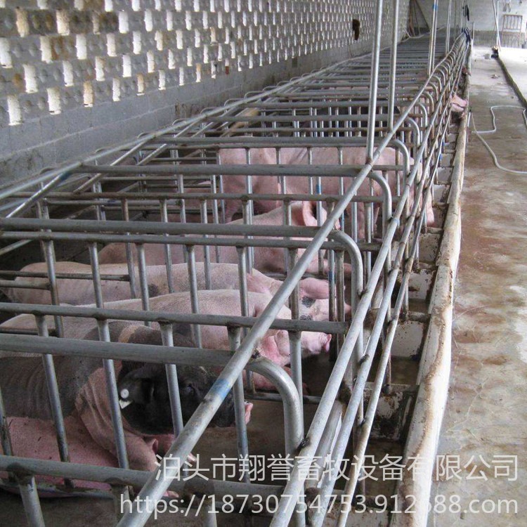 肥猪用定位栏 十栏位带食槽 定位栏 翔誉畜牧 养殖场母猪定位栏 支持定做
