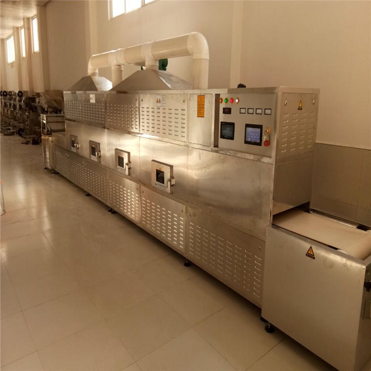 立威瓜子炒熟设备 瓜子炒货机 定制瓜子微波烘烤设备40HMV-6X型图片