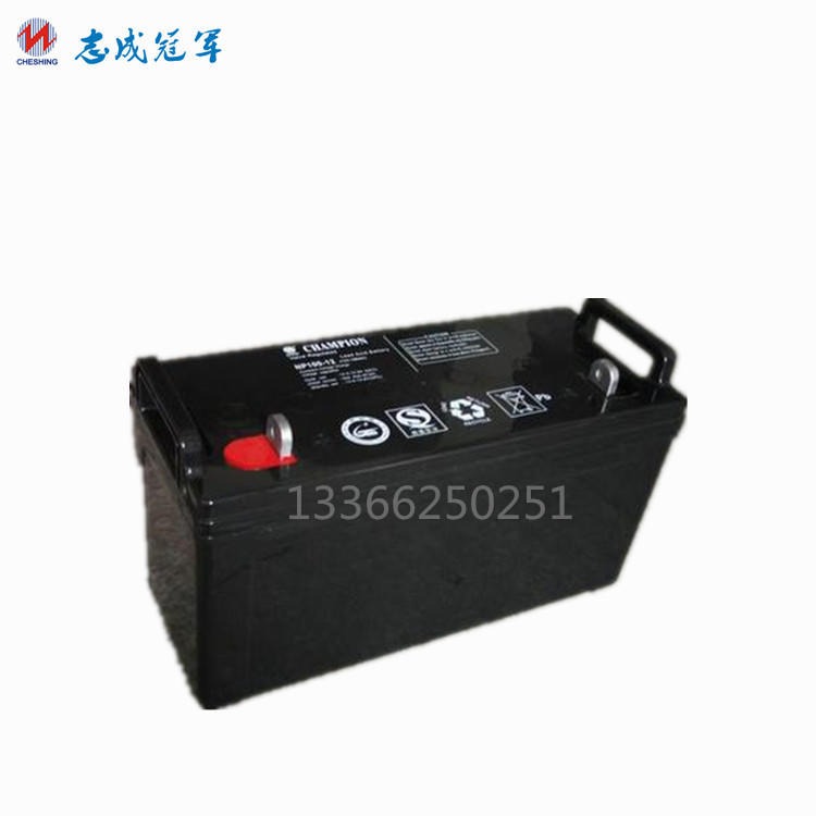 蓄电池12V100AH_铅酸蓄电池NP100-12