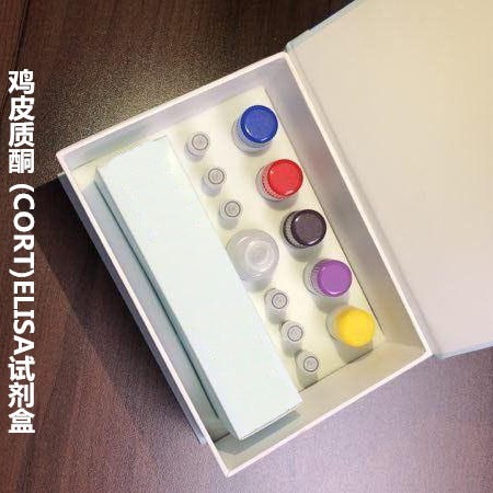 鸡皮质酮 (CORT)ELISA试剂盒  WSJH50103B 48T 维克奇图片