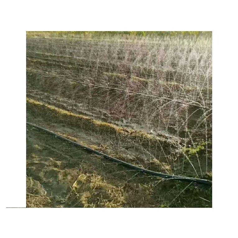 农业大田灌溉加厚斜5孔微喷带 7孔多孔带批发厂家