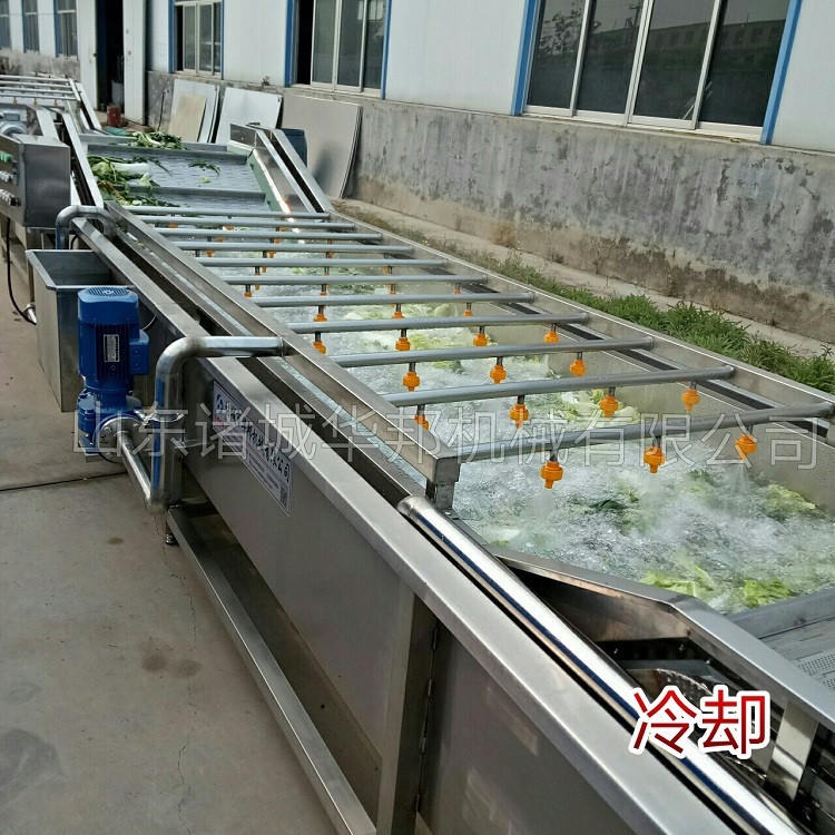 脱水蔬菜加工设备 蔬菜杀青冷却流水线 定制蔬菜杀青设备