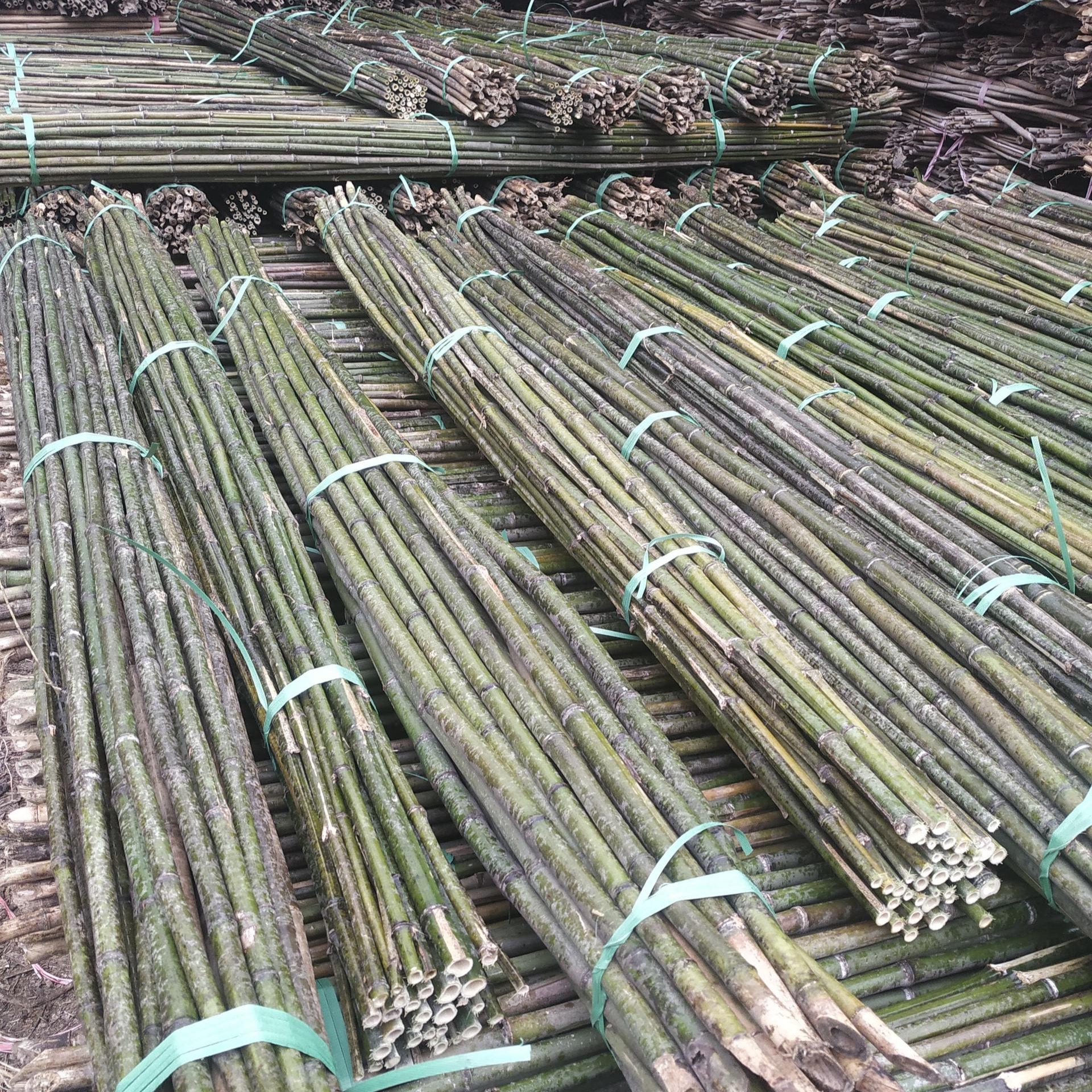 湖北竹竿批发 供应各种规格大棚搭架竹竿 蔬菜搭架竹竿