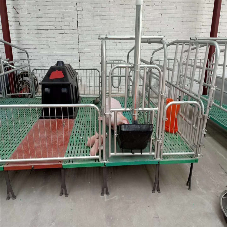 禾祥 加工销售母猪产床 厂家供复合母猪产床 加工定制