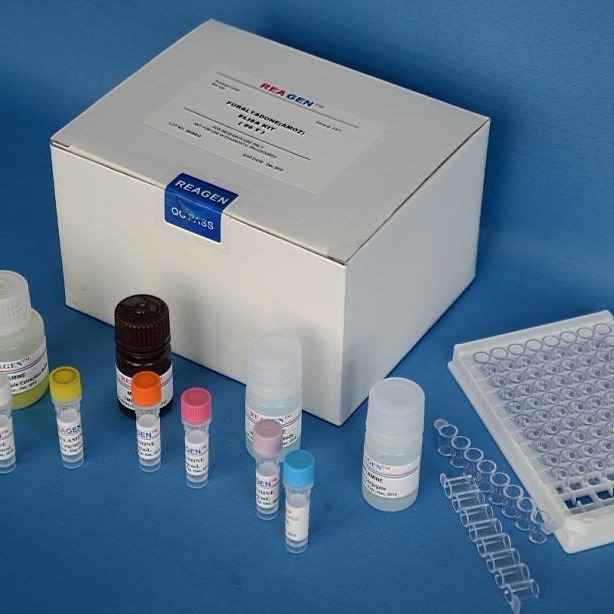 人中性粒细胞趋化蛋白2试剂盒 NAP-2试剂盒 中性粒细胞趋化蛋白2ELISA试剂盒 厂家直销图片