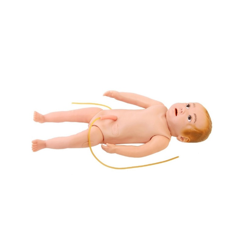 婴儿全身静脉穿刺训练模型实训考核装置  婴儿全身静脉穿刺训练模型实训设备  婴儿全身静脉穿刺训练模型综合实训台图片