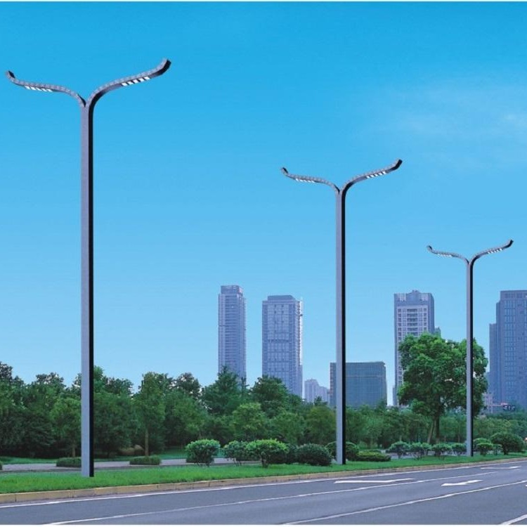 宇泉led路灯厂家直销  市政8米道路路灯 户外景观照明路灯可定制