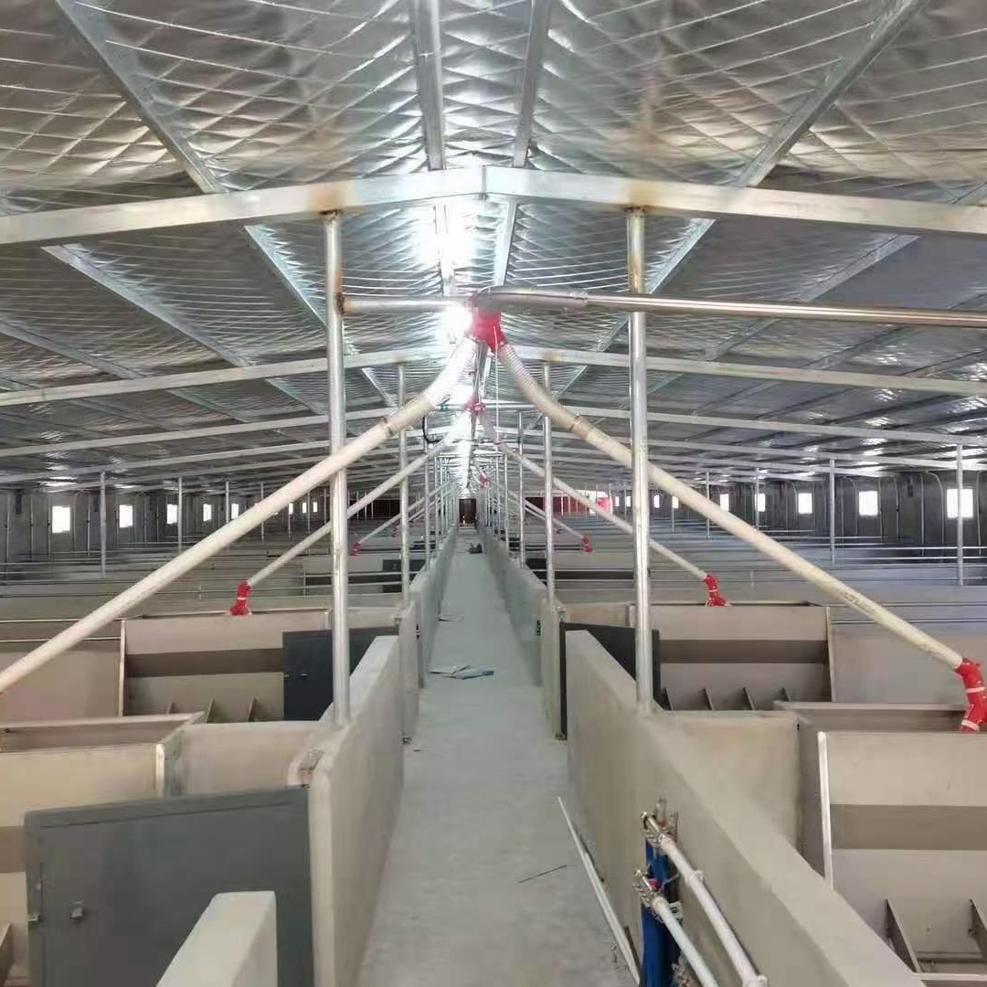 猪场自动化养殖设备 热镀锌塞盘、绞龙自动料线 料塔料线