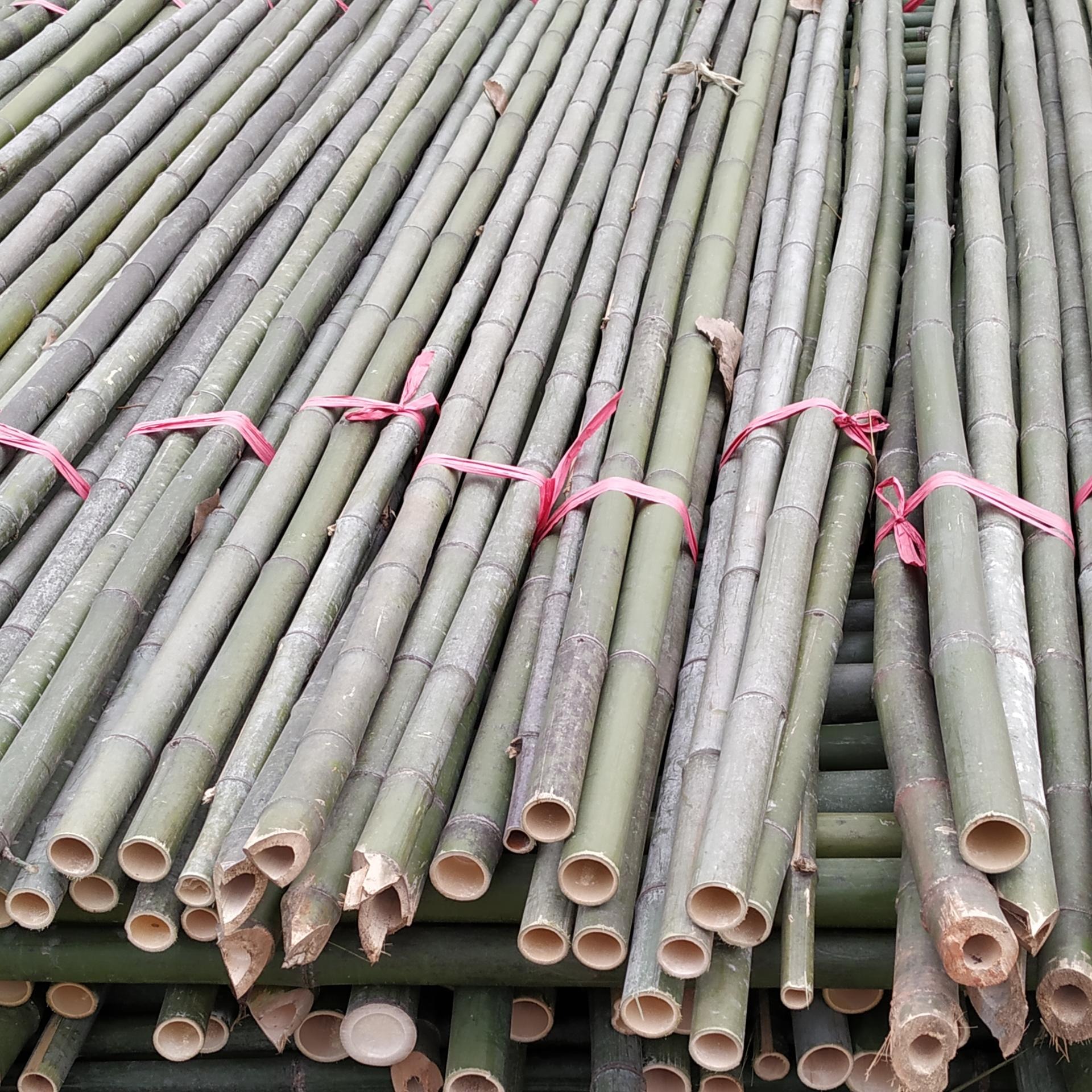 湖北厂家直销大量供应2021年各种果木项目专用4米小竹竿
