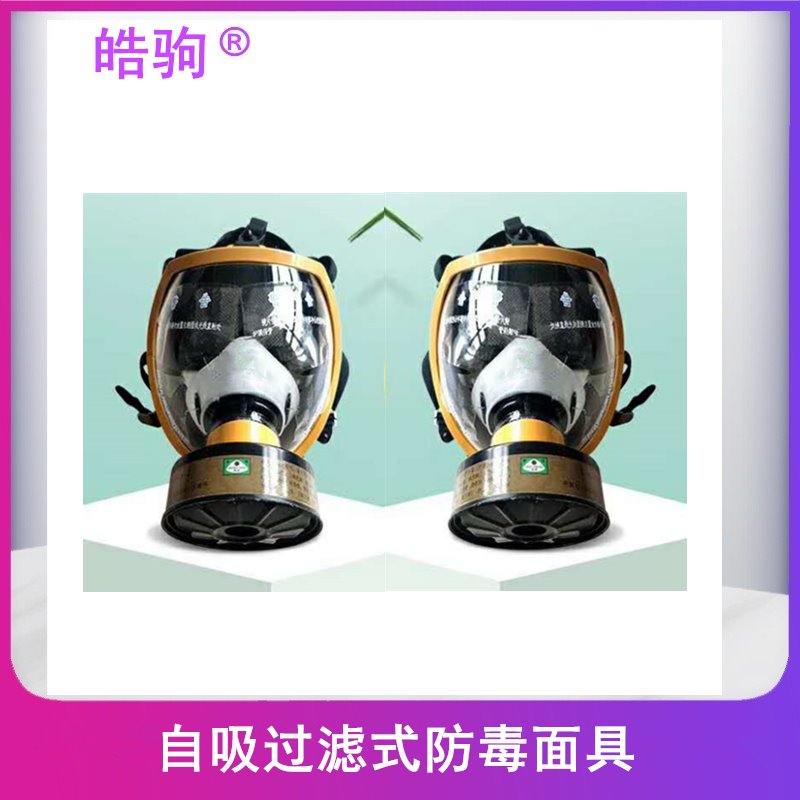 皓驹FSR0421.防毒面具 过滤式防毒面罩 防毒全面罩 防护全面罩 全面罩  便携式呼吸防护器