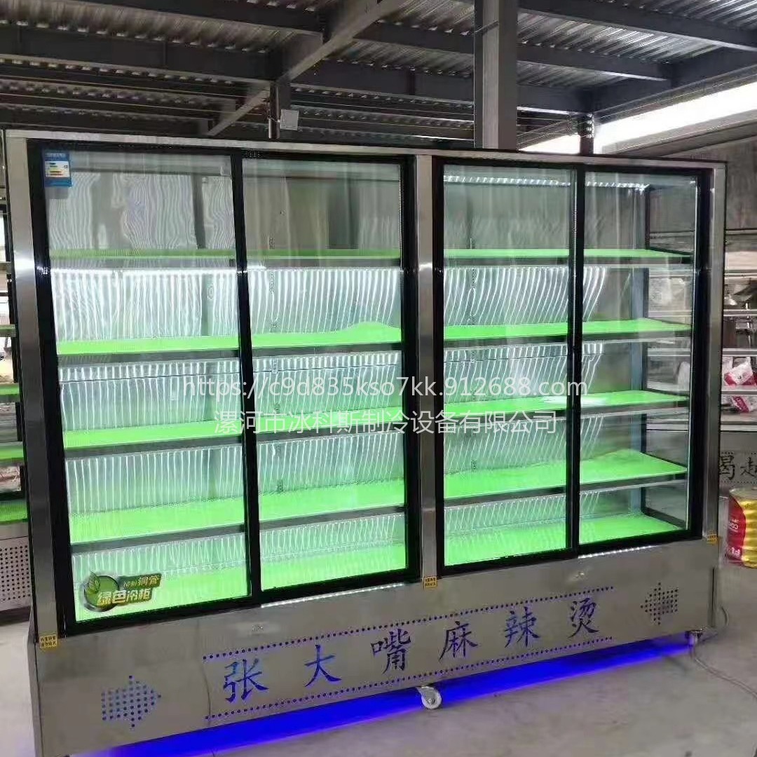 南宁保鲜多层直角开门炸串冰柜 冷藏展示柜 未来雪WLX-ZC-66