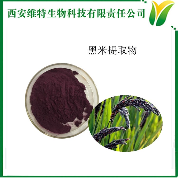 黑米提取物 黑米萃取粉5:1 黑黍水溶粉
