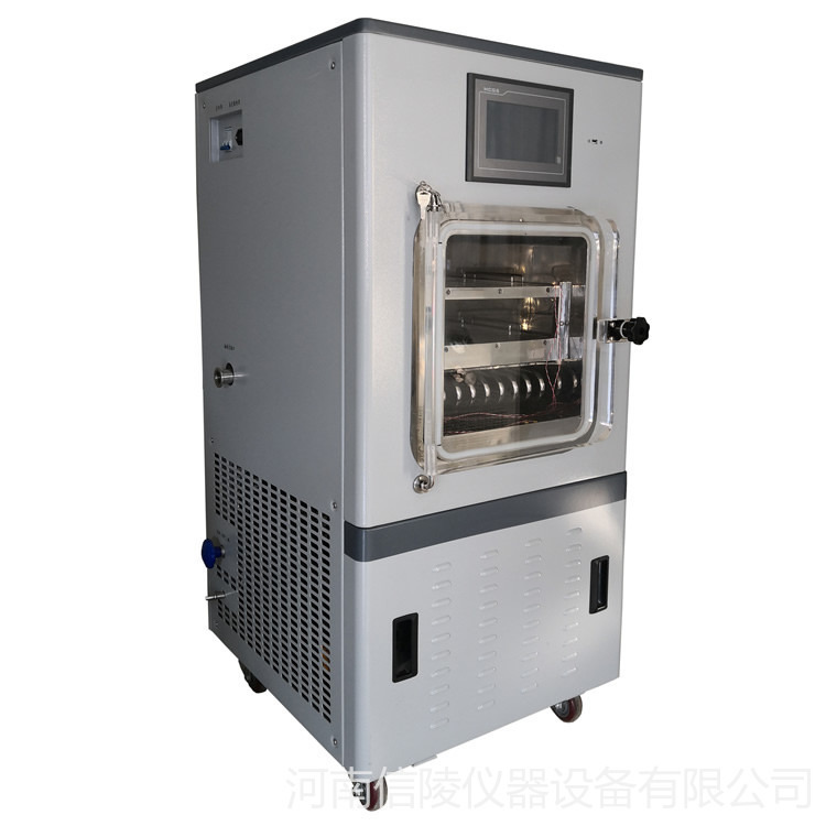电加热冷冻干燥机 LGJ-10FD原位电加热冷冻干燥机 中试真空冻干机价格