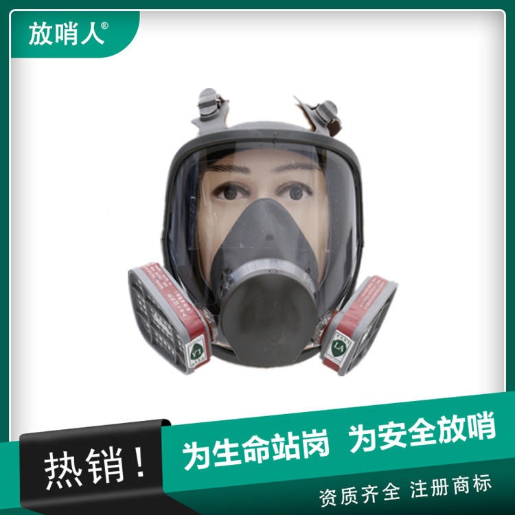 诺安NAMJ01防毒全面罩  防护面具 全面型呼吸防护器