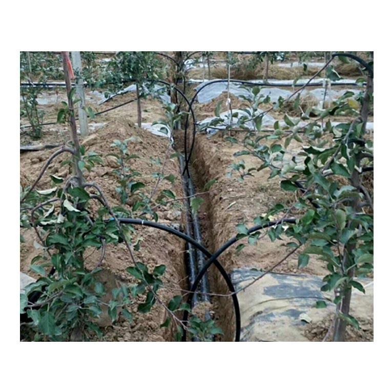 河南郑州山丘苹果园滴灌系统滴头设计施工安装公司图片