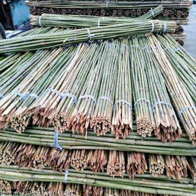 京西竹业 山竹批发价 4米山竹 园林标准竹竿 果园支撑竹杆标准 江西发货