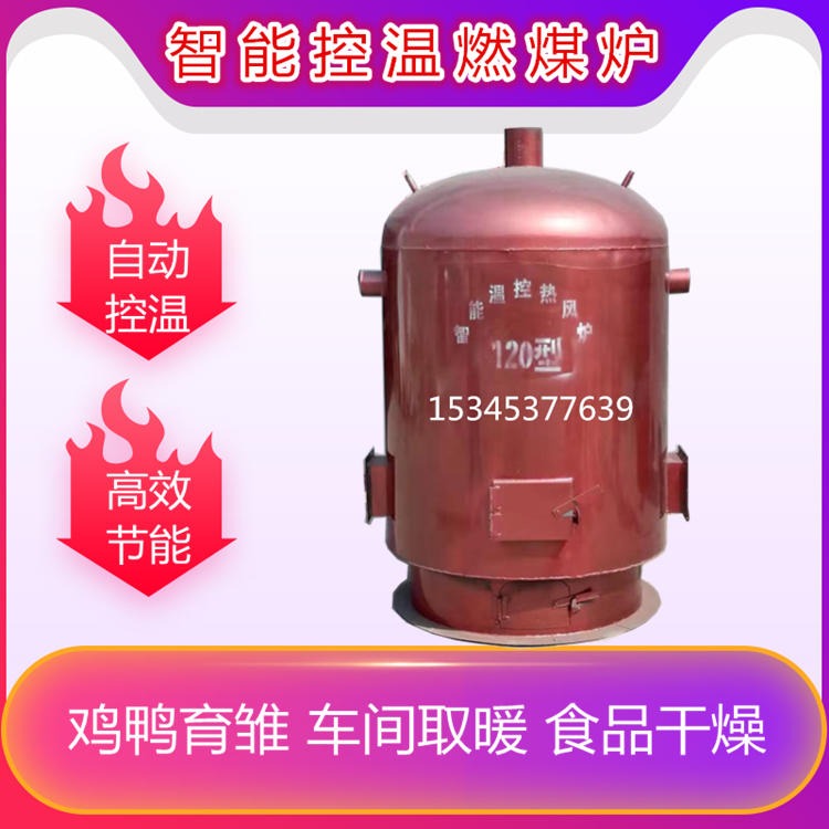 正丰干燥烘干热风炉 供应新型热风炉 厂房烘干热风炉 电子控温设备图片