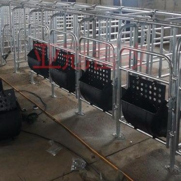 养猪设备厂家 生产 销售    亚冠YG-01   新款母猪定位栏  原装现货