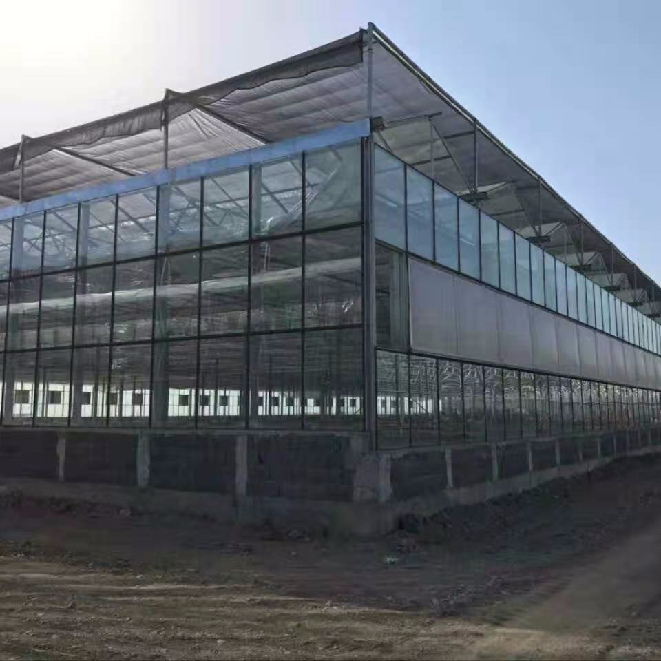 舜禹温室 温室大棚 种植玻璃温室厂家 玻璃暖房温室批发 大小可根据场地设计