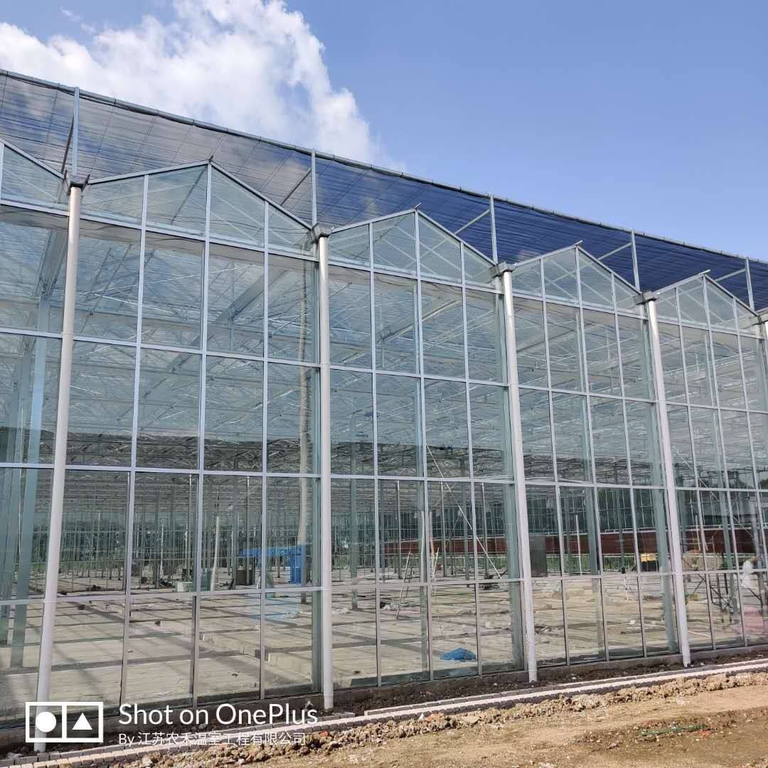 博伟 花卉玻璃温室 生态玻璃大棚 智能玻璃大棚