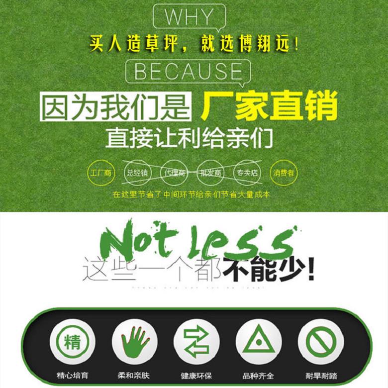 供应广西人造草皮门球场 博翔远牌 无倒向门球场仿真假草皮 优质产品热卖中