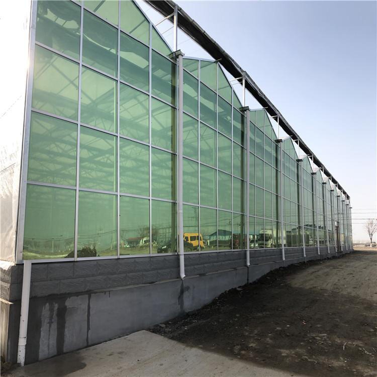 博伟 新型蔬菜玻璃大棚 现代化农业温室大棚 玻璃温室大棚 玻璃温室花卉房