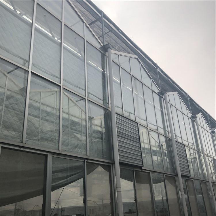 博伟 BW 现代化玻璃温室建设 智能玻璃大棚 连体玻璃温室 承建连栋温室安装 欢迎选购