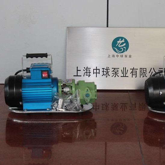 WCB手提式齿轮油泵  小型不锈钢齿轮泵 防爆输油泵