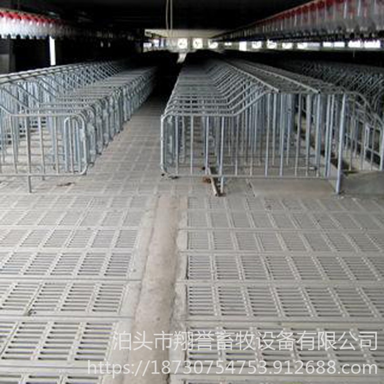 淮北 钢板定位栏 钢板限位栏 带10个母猪钢板食槽 翔誉