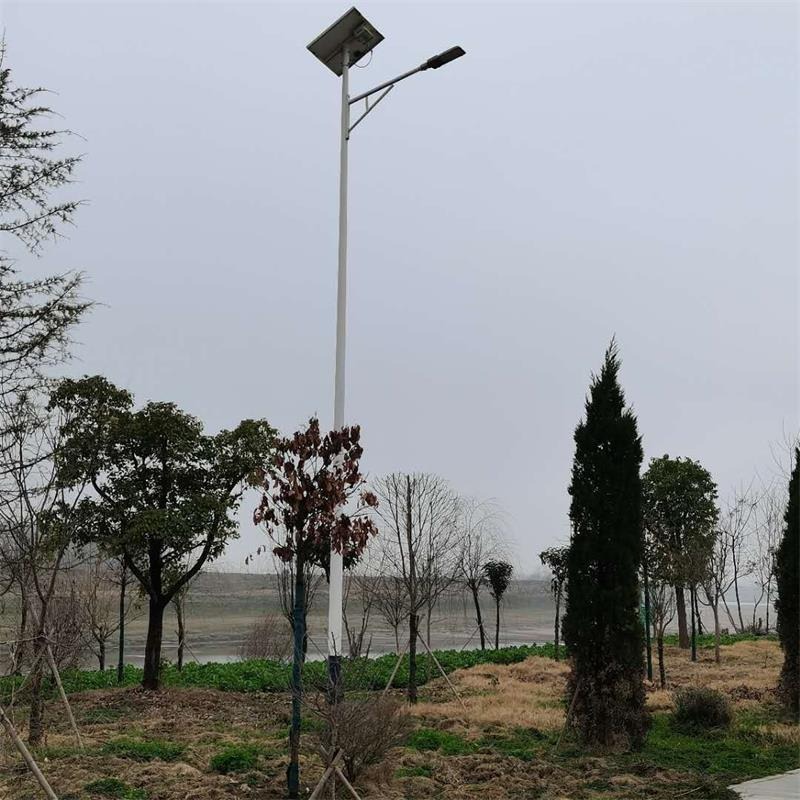 乡村照明厂区建设小金豆灯具 简约6m乡村太阳能LED路灯图片
