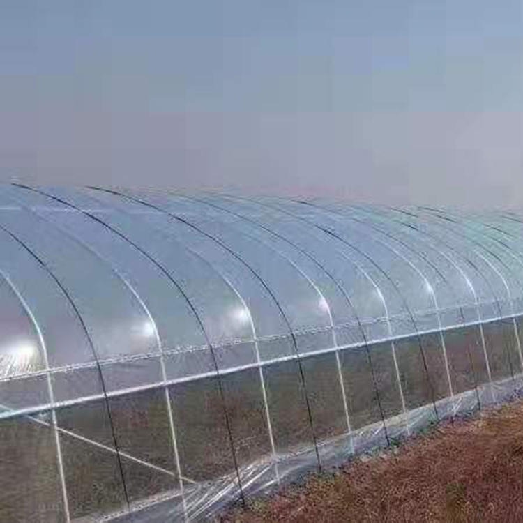 单体薄膜拱棚 建达温室 拱棚蔬菜温室 拱棚育苗价格