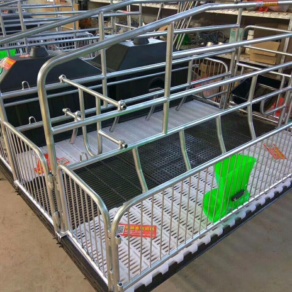 世昌畜牧自动化养猪设备母猪产床厂家