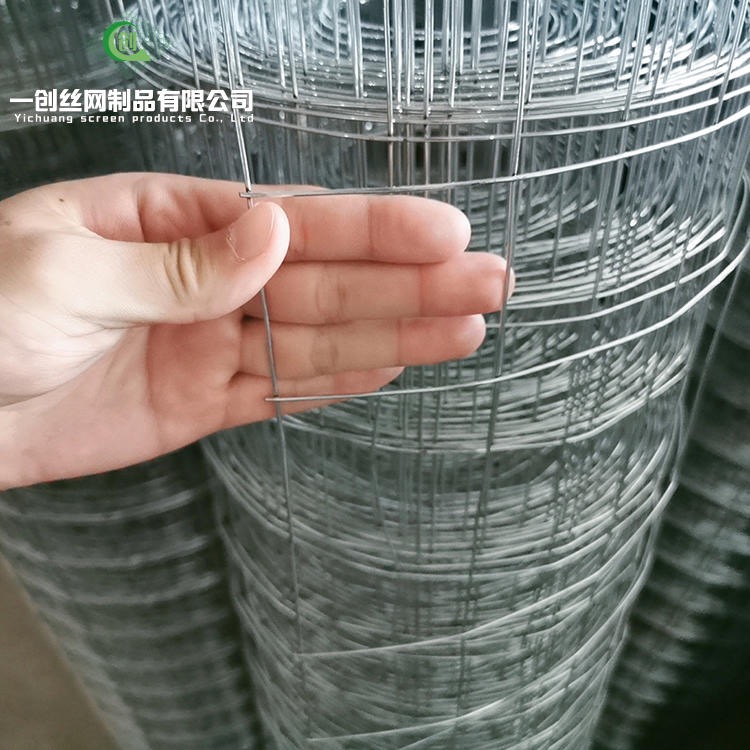 河北一创厂家直销不锈钢电焊网铁丝网镀锌钢丝网工地粉墙网铁丝卷网