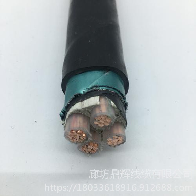 YJV电缆价格 120平方电缆 阻燃交联电缆 鼎辉 ZC-YJV电缆图片