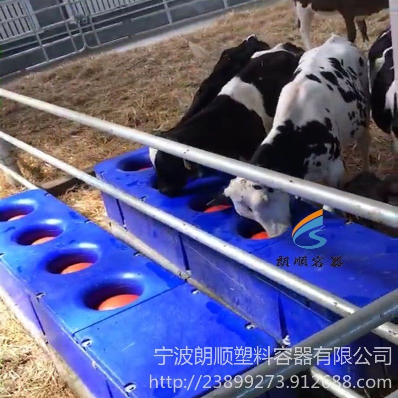 供应奶牛饮水槽 能控制水温的奶牛养殖饮水槽图片