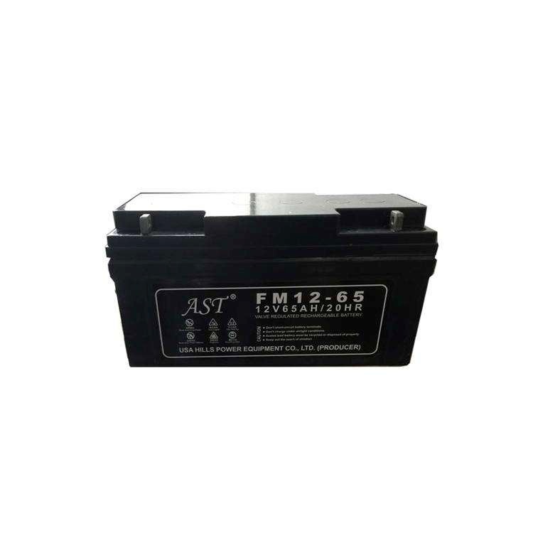 AST蓄电池ST12-65 AH光伏发电EPS UPS储能原装蓄电池12V65 足容量