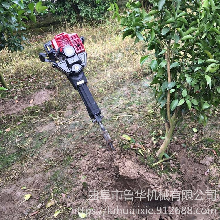 鲁华LH WSJ便携式汽油挖树机  带土球移栽机 移植挖树机