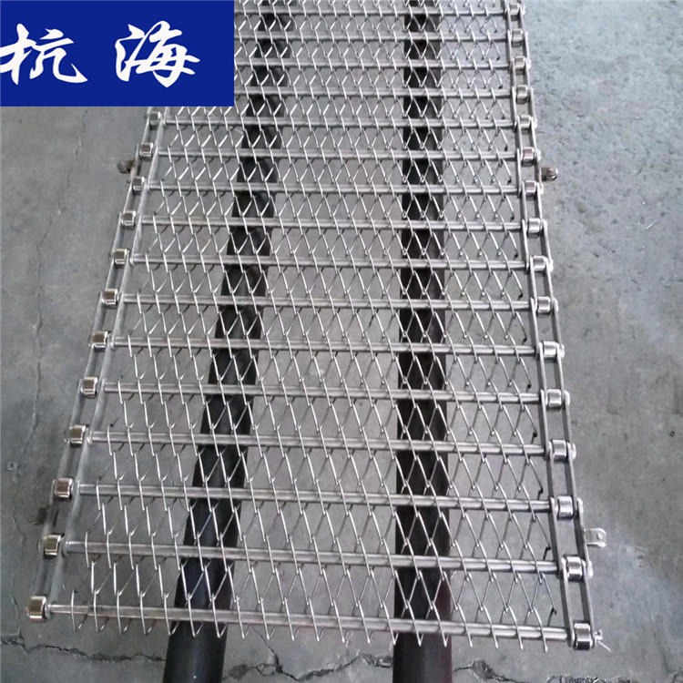 杭海机械 人字型网带 塑料网带 输送带生产厂家 可定制
