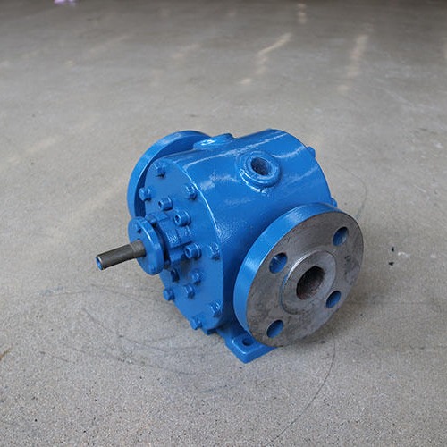 不锈钢保温齿轮泵 不锈钢圆弧齿轮泵 保温齿轮泵 YCB4/0.6G-45余年齿轮泵厂家