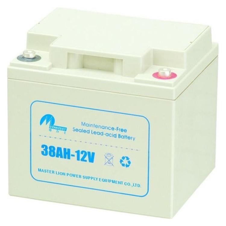 电力士蓄电池17AH-12V铅酸蓄电池12V17AH直流屏UPS/EPS配套