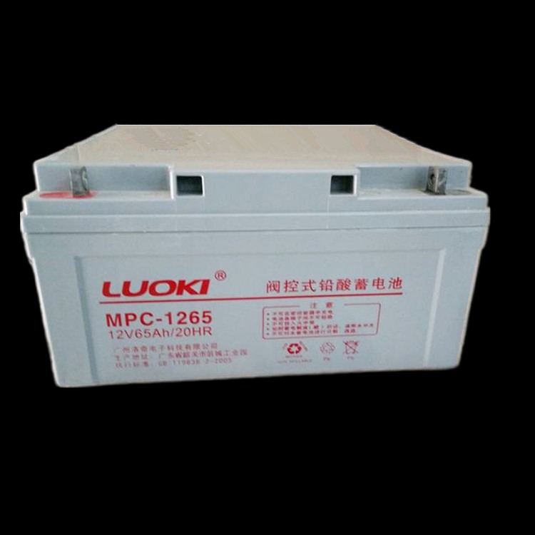 洛奇蓄电池MPC12-65  洛奇储能电池12V40AH 光伏发电/太阳能储能用
