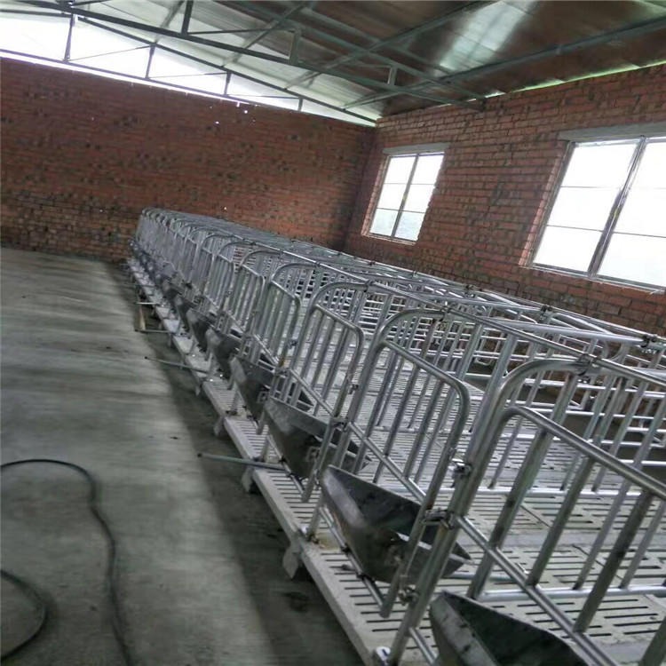 工厂供应 养猪设备 母猪定位栏限位栏 全复合母猪产床 迈维养猪设备