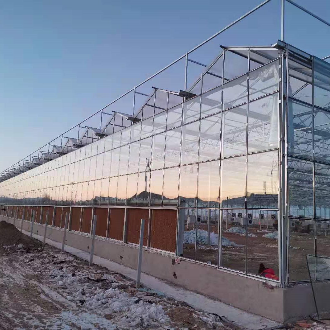 玻璃温室大棚 智能蔬菜种植温室 大棚设计安装 舜禹温室厂家